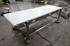 Transfer Conveyor